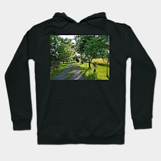 Road to the Farm Hoodie